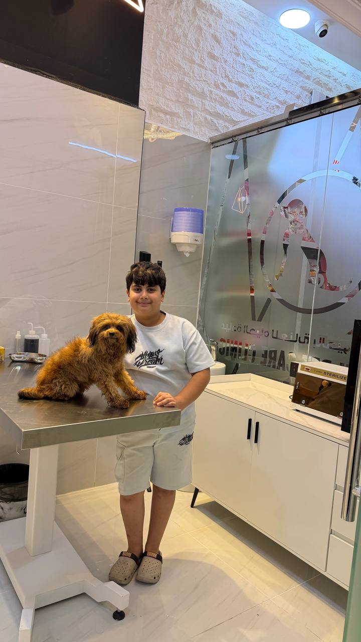 Pet care room